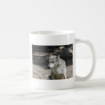 IMG_7818 MUG