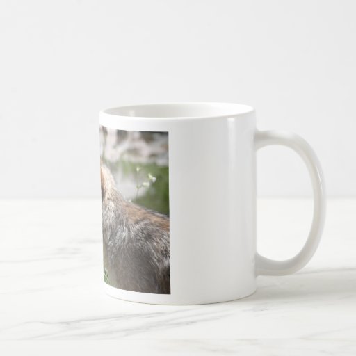 IMG_8087 COFFEE MUG