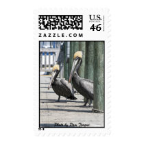 IMG_8606 PE, Photo by Pam Teague postage by beamertg IMG_8606 PE, Photo by Pam Teague postage