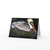 IMG_8826 F BB crop 11X14 Greeting Card