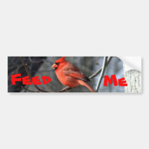 IMG_9193, Feed, Me Bumper Sticker