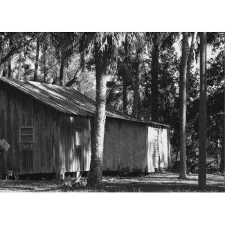IMG_9504 BW card
