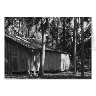 IMG_9504 BW CARD by PaulaShowen