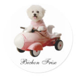 IMG_9658-F1 copy, Bichon Frise Round Stickers