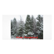 IMGP0140, Winter Wonderland photo cards
