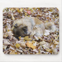 IMGP0794Foxy''s playing in leaves... mousepads by missyfoxy56 IMGP0794Foxy''s playing in leaves... mousepads