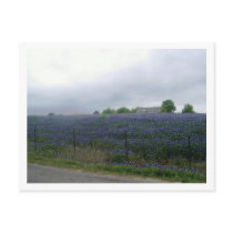 IMGP4303 postcards by CarolJ535 IMGP4303 postcards