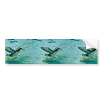 Imm. Short-tailed Albatross Bumper Sticker