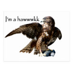 Imma hawwwkk post card