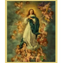 Immaculate Conception of Mary t-shirts