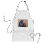 Immature Harris Hawk aprons