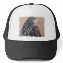Immature Harris Hawk cap hats by artoffalconry Immature Harris Hawk cap hats