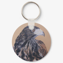 Immature Harris Hawk keychain by artoffalconry Immature Harris Hawk keychain