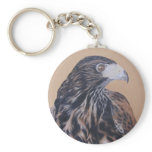 Immature Harris Hawk keychains