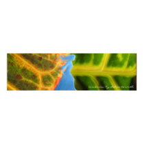 "Immersion" Poster posters by ChelseaKerwath "Immersion" Poster posters
