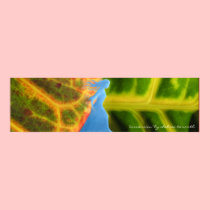 "Immersion" Poster posters
