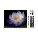 Immutabilis postage by utopiaaquatic Immutabilis postage