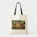 Impala Bags