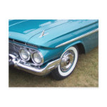 Impala Postvard postcards