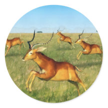 Impala Stickers