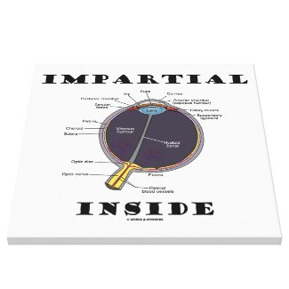 Impartial Eye (I) Inside (Anatomical Eyeball) Stretched Canvas Print