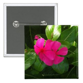 Impatien Red Plant 2 Inch Square Button