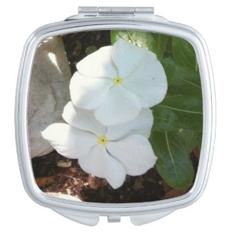 Impatien White Plant Compact Mirror