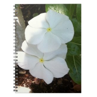 Impatien White Plant Spiral Notebooks