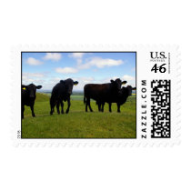 Impatience Postage