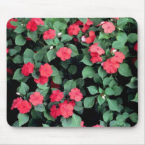 Impatiens Flowers mousepads