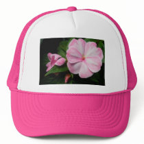 Impatiens Pink White Hat