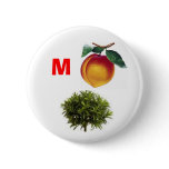 Impeach Bush Button