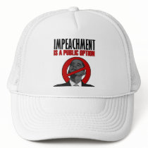 Impeachment is a Public Option hats