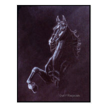 Imperator Postcards