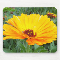 imperfect-beauty mousepads