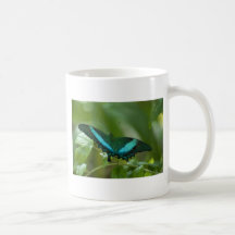 Imperial Butterfly Mugs