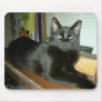Imperial kitty mouse mats