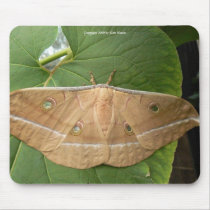Imperial Moth mousepads by codfishlady Imperial Moth mousepads