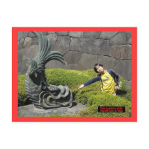 Imperial Palace Entrance, Japan postcards