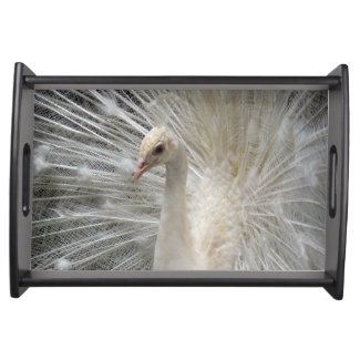 Imperial Peacock Serving Tray