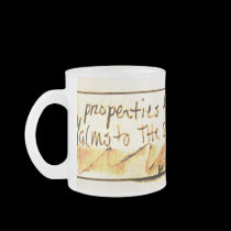 import from nature mugs