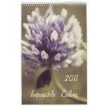 Impossible Colors 2011 Calendar