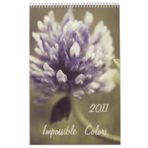 Impossible Colors 2011 Calendar