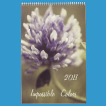 Impossible Colors 2011 Calendar calendars