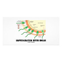 Impregnated With Ideas (Sperm Egg Fertilization) photo cards