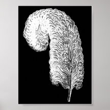 Impresión de la pluma de la avestruz impresiones