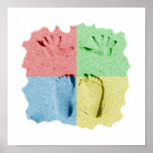 Impresiones de los pies de la mano en color de la 