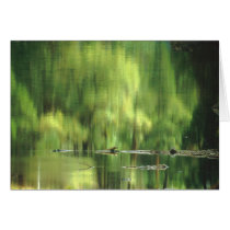 Impression Yosemite #26 cards