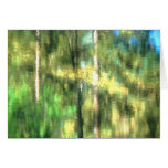 Impression Yosemite #28 Cards