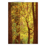 Impression: Yosemite #31 Greeting Cards